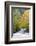 Tennessee, Great Smoky Mountains National Park, Little River-Jamie & Judy Wild-Framed Photographic Print