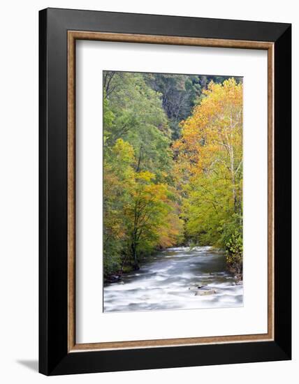 Tennessee, Great Smoky Mountains National Park, Little River-Jamie & Judy Wild-Framed Photographic Print