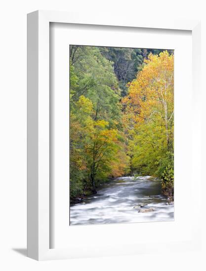 Tennessee, Great Smoky Mountains National Park, Little River-Jamie & Judy Wild-Framed Photographic Print