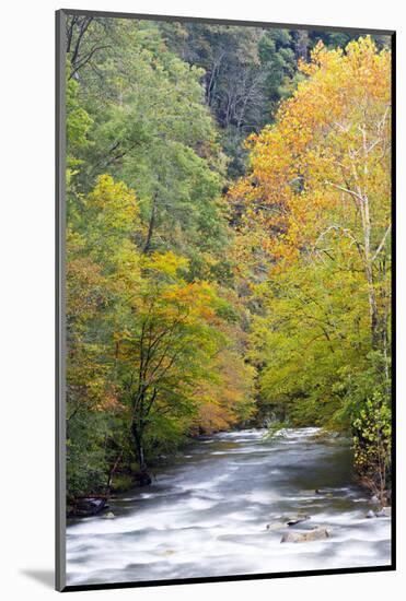 Tennessee, Great Smoky Mountains National Park, Little River-Jamie & Judy Wild-Mounted Photographic Print