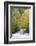 Tennessee, Great Smoky Mountains National Park, Little River-Jamie & Judy Wild-Framed Photographic Print