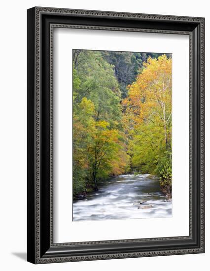 Tennessee, Great Smoky Mountains National Park, Little River-Jamie & Judy Wild-Framed Photographic Print