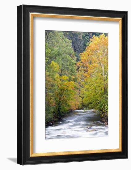 Tennessee, Great Smoky Mountains National Park, Little River-Jamie & Judy Wild-Framed Photographic Print