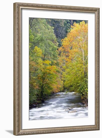 Tennessee, Great Smoky Mountains National Park, Little River-Jamie & Judy Wild-Framed Photographic Print