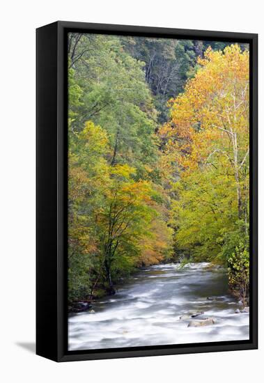 Tennessee, Great Smoky Mountains National Park, Little River-Jamie & Judy Wild-Framed Premier Image Canvas