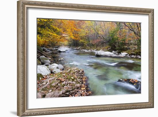 Tennessee, Great Smoky Mountains National Park, Little River-Jamie & Judy Wild-Framed Photographic Print