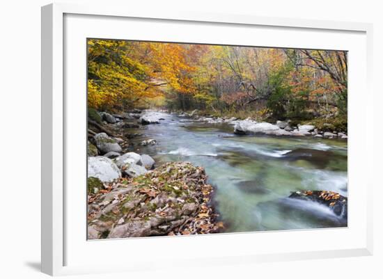 Tennessee, Great Smoky Mountains National Park, Little River-Jamie & Judy Wild-Framed Photographic Print