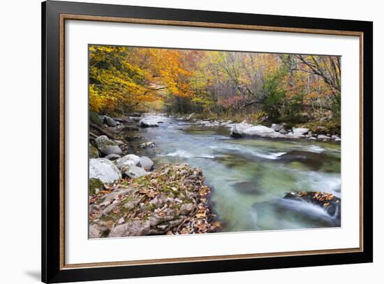 Tennessee, Great Smoky Mountains National Park, Little River-Jamie & Judy Wild-Framed Photographic Print