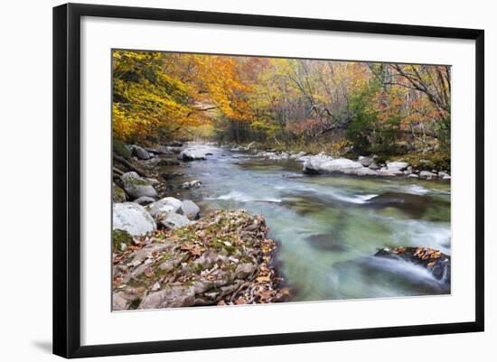 Tennessee, Great Smoky Mountains National Park, Little River-Jamie & Judy Wild-Framed Photographic Print