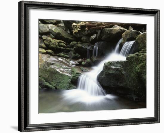 Tennessee, Great Smoky Mountains National Park, Stream with Small Waterfalls-Christopher Talbot Frank-Framed Photographic Print