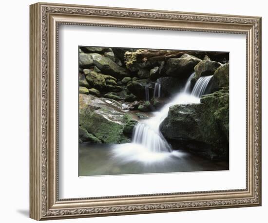 Tennessee, Great Smoky Mountains National Park, Stream with Small Waterfalls-Christopher Talbot Frank-Framed Photographic Print