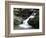 Tennessee, Great Smoky Mountains National Park, Stream with Small Waterfalls-Christopher Talbot Frank-Framed Photographic Print