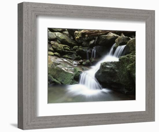 Tennessee, Great Smoky Mountains National Park, Stream with Small Waterfalls-Christopher Talbot Frank-Framed Photographic Print