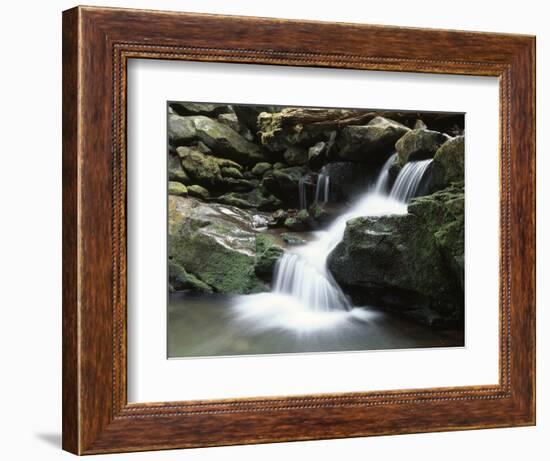 Tennessee, Great Smoky Mountains National Park, Stream with Small Waterfalls-Christopher Talbot Frank-Framed Photographic Print