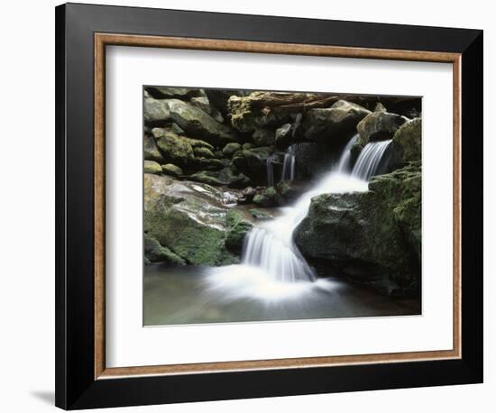 Tennessee, Great Smoky Mountains National Park, Stream with Small Waterfalls-Christopher Talbot Frank-Framed Photographic Print