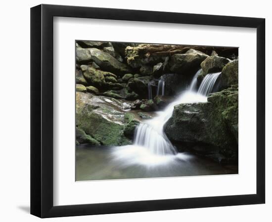 Tennessee, Great Smoky Mountains National Park, Stream with Small Waterfalls-Christopher Talbot Frank-Framed Photographic Print