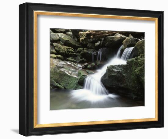 Tennessee, Great Smoky Mountains National Park, Stream with Small Waterfalls-Christopher Talbot Frank-Framed Photographic Print