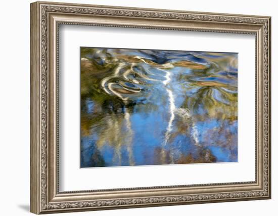 Tennessee. Great Smoky Mountains National Park-Judith Zimmerman-Framed Photographic Print