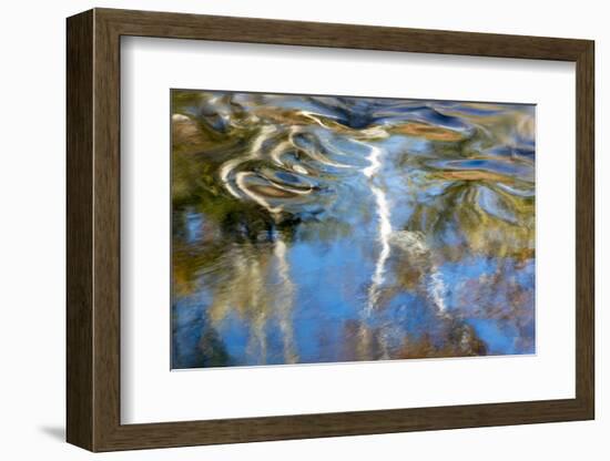 Tennessee. Great Smoky Mountains National Park-Judith Zimmerman-Framed Photographic Print