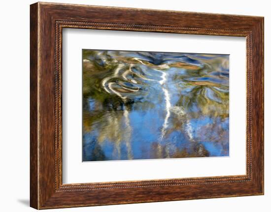 Tennessee. Great Smoky Mountains National Park-Judith Zimmerman-Framed Photographic Print