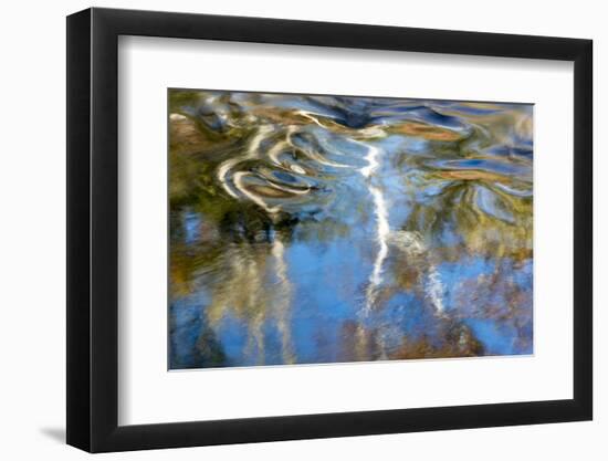 Tennessee. Great Smoky Mountains National Park-Judith Zimmerman-Framed Photographic Print