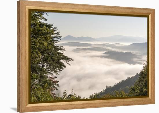 Tennessee, Great Smoky Mountains NP. Dense clouds in valleys seen from Foothills Parkway.-Trish Drury-Framed Premier Image Canvas