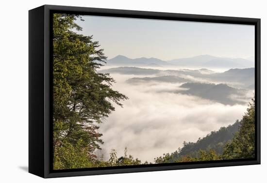 Tennessee, Great Smoky Mountains NP. Dense clouds in valleys seen from Foothills Parkway.-Trish Drury-Framed Premier Image Canvas