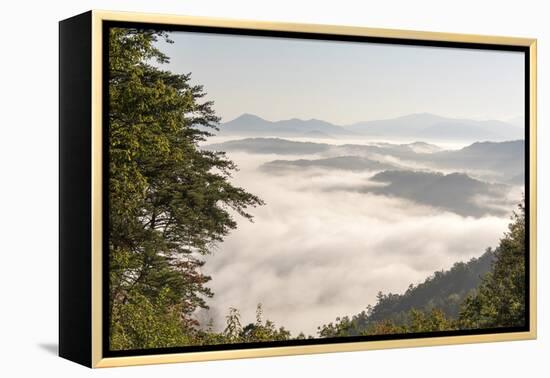 Tennessee, Great Smoky Mountains NP. Dense clouds in valleys seen from Foothills Parkway.-Trish Drury-Framed Premier Image Canvas