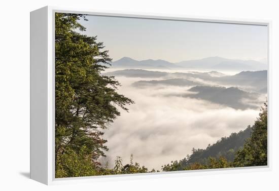 Tennessee, Great Smoky Mountains NP. Dense clouds in valleys seen from Foothills Parkway.-Trish Drury-Framed Premier Image Canvas