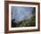 Tennessee, Great Smoky Mountains NP, Flowering Dogwood Trees (Cornus)-Christopher Talbot Frank-Framed Photographic Print