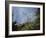 Tennessee, Great Smoky Mountains NP, Flowering Dogwood Trees (Cornus)-Christopher Talbot Frank-Framed Photographic Print