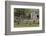 Tennessee, Great Smoky Mountains NP. John Oliver Place in Cades Cove-Don Paulson-Framed Photographic Print