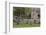 Tennessee, Great Smoky Mountains NP. John Oliver Place in Cades Cove-Don Paulson-Framed Photographic Print