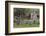 Tennessee, Great Smoky Mountains NP. John Oliver Place in Cades Cove-Don Paulson-Framed Photographic Print