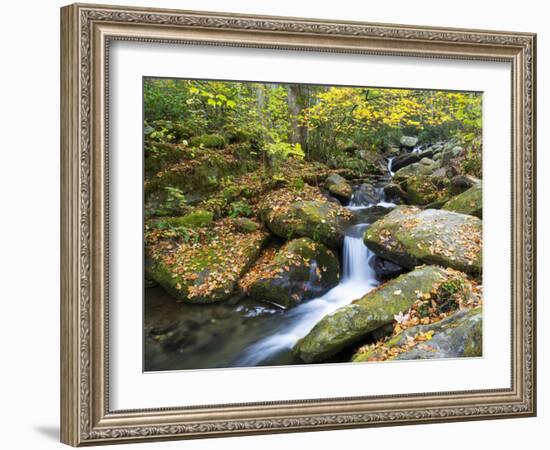 Tennessee, Great Smoky Mountains NP, Roaring Fork River-Jamie & Judy Wild-Framed Photographic Print