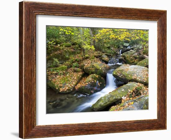 Tennessee, Great Smoky Mountains NP, Roaring Fork River-Jamie & Judy Wild-Framed Photographic Print