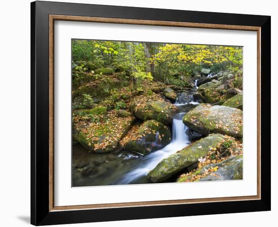 Tennessee, Great Smoky Mountains NP, Roaring Fork River-Jamie & Judy Wild-Framed Photographic Print