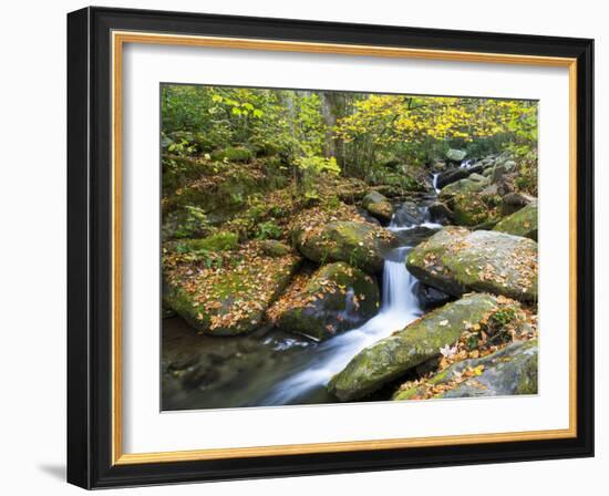 Tennessee, Great Smoky Mountains NP, Roaring Fork River-Jamie & Judy Wild-Framed Photographic Print