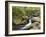 Tennessee, Great Smoky Mountains NP, Roaring Fork River-Jamie & Judy Wild-Framed Photographic Print