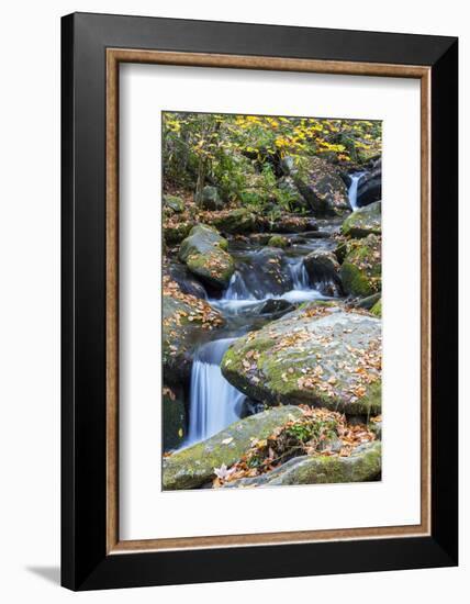 Tennessee, Great Smoky Mountains NP, Roaring Fork River-Jamie & Judy Wild-Framed Photographic Print