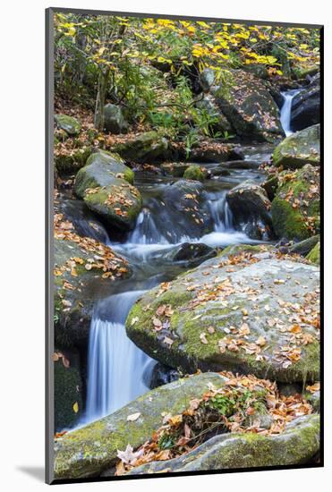 Tennessee, Great Smoky Mountains NP, Roaring Fork River-Jamie & Judy Wild-Mounted Photographic Print