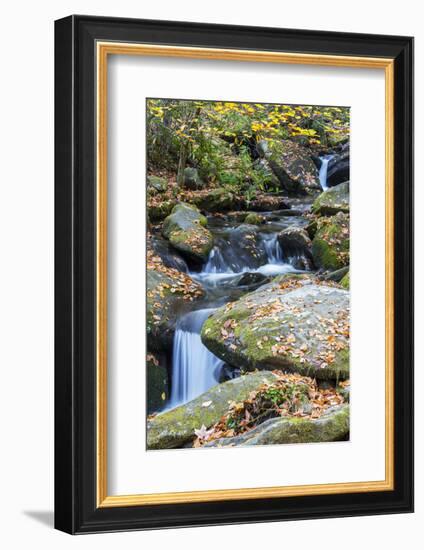 Tennessee, Great Smoky Mountains NP, Roaring Fork River-Jamie & Judy Wild-Framed Photographic Print