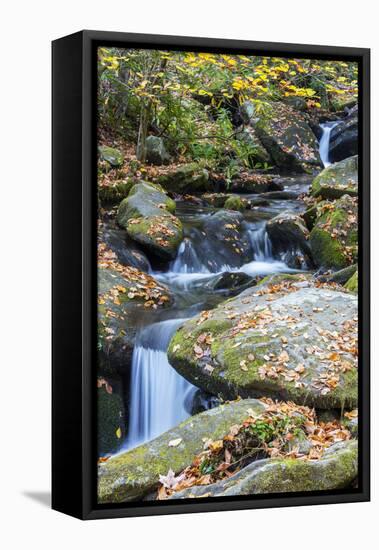 Tennessee, Great Smoky Mountains NP, Roaring Fork River-Jamie & Judy Wild-Framed Premier Image Canvas