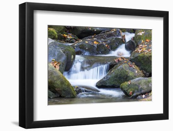Tennessee, Great Smoky Mountains NP, Roaring Fork River-Jamie & Judy Wild-Framed Photographic Print