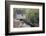 Tennessee, Great Smoky Mountains NP, Tub Mill and Millrace in a Forest-Jamie & Judy Wild-Framed Photographic Print