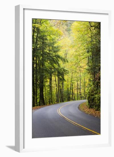 Tennessee, Great Smoky Mountains NP, View Along Little River Road-Jamie & Judy Wild-Framed Photographic Print