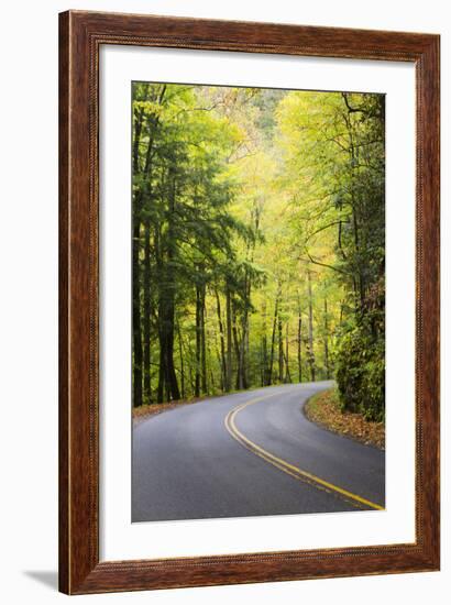 Tennessee, Great Smoky Mountains NP, View Along Little River Road-Jamie & Judy Wild-Framed Photographic Print