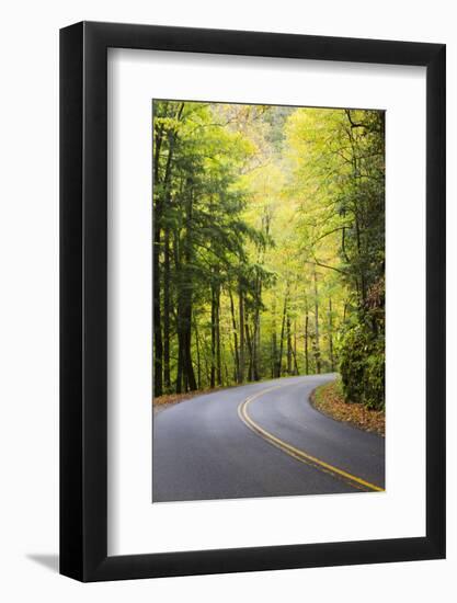 Tennessee, Great Smoky Mountains NP, View Along Little River Road-Jamie & Judy Wild-Framed Photographic Print