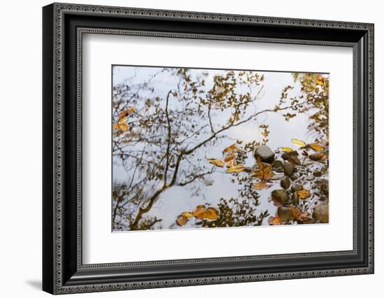 Tennessee, Great Smoky Mountains NP, West Prong Little River, Autumn-Jamie & Judy Wild-Framed Photographic Print