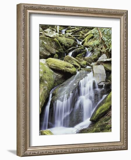 Tennessee, Great Smoky Mts National Park, Waterfalls Along Roaring Fork Stream-Christopher Talbot Frank-Framed Photographic Print